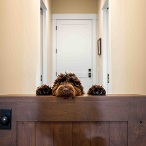 Michigan Home Architects