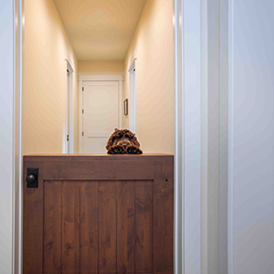 Michigan Home Architects