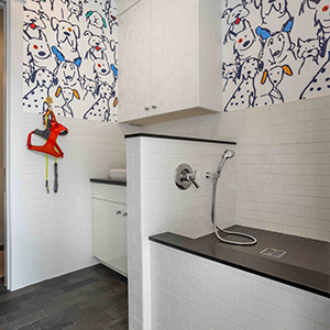 Michigan Home Architects