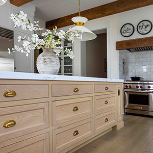 Michigan Home Architects